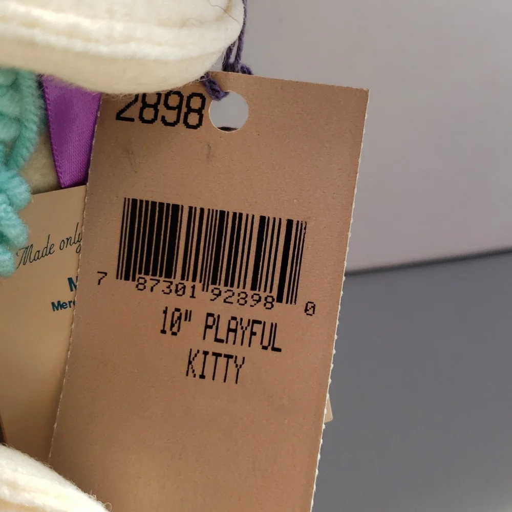 Kitten annalee - Picture 2 of 2